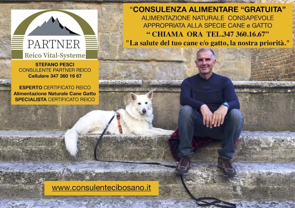 Contattami per una consulenza gratuita e personalizzata.". Chiama ORA 347 360 16 67." Stefano Pesci Consulente Partner Reico Cellulare 347 3601667 (anche whatsapp) Esperto Specialista Reico