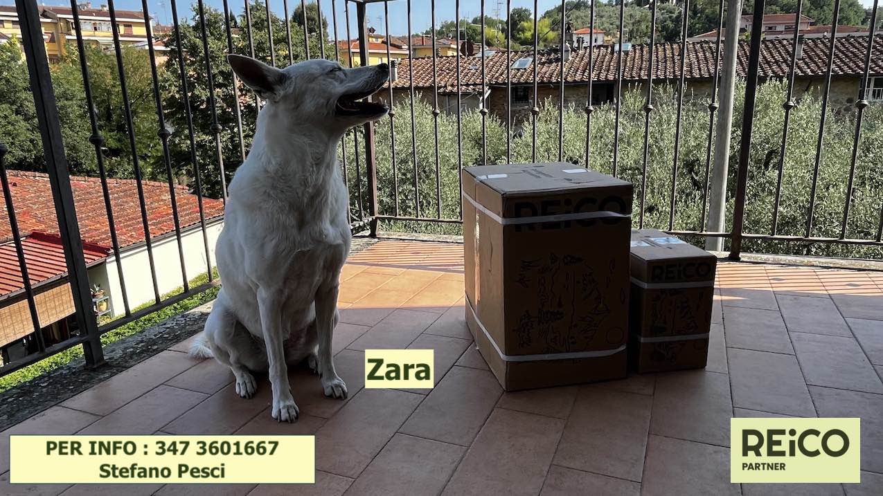 Stefano Pesci REiCO Partner cibo cani e gatti consegna ordine ricevuto pacchi dalla Germania