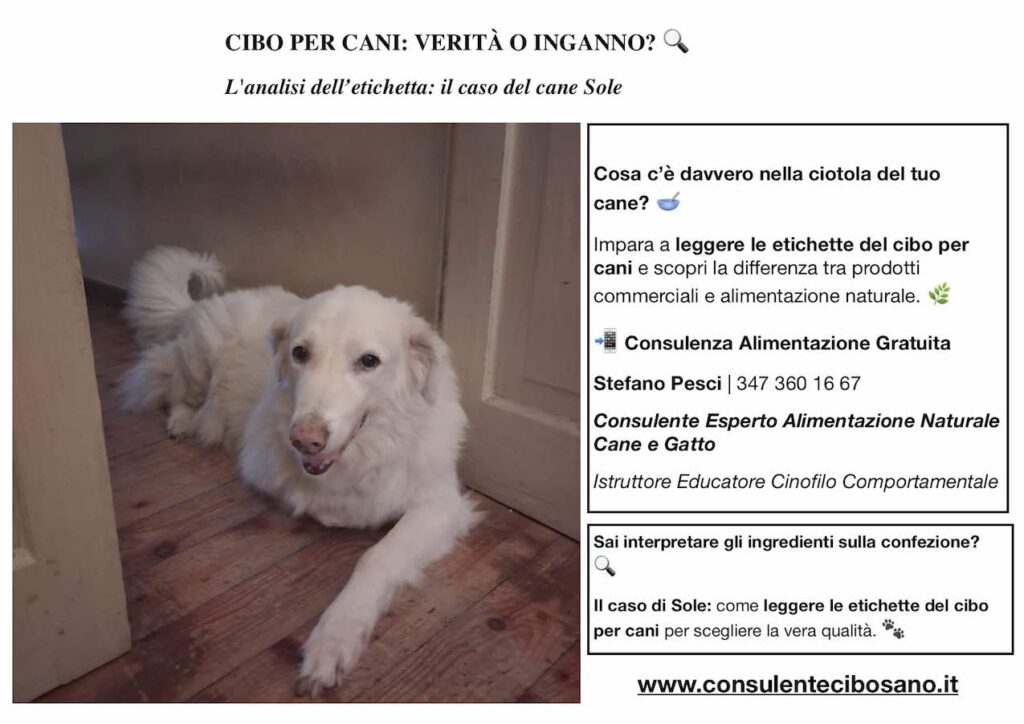Come leggere le etichette del cibo per cani durante una consulenza nutrizionale Stefano Pesci