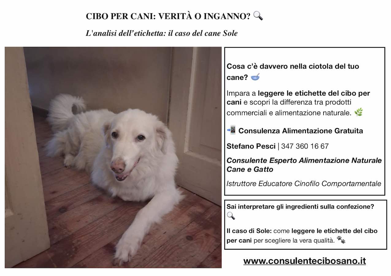 Come leggere le etichette del cibo per cani durante una consulenza nutrizionale Stefano Pesci